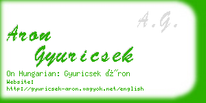 aron gyuricsek business card